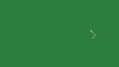A green screen with white background and cat on it outline arrow airplane bird Video stock 335087529