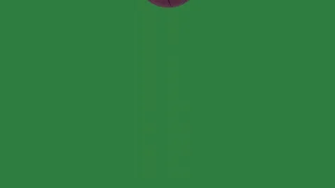 A green screen with white background and basketball ball on soccer it animated Видео 335122476