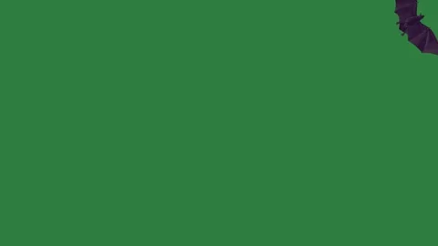A green screen with white background and bird flying in the air on through Video stock 335122505