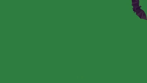 A green screen with white background and silhouette of man in suit bird flying Vidéo 335122523