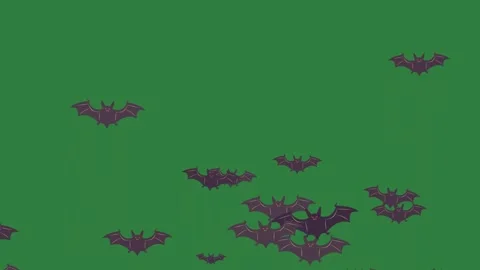 A green screen with white background and black bats flying around it in the Видео 335122542