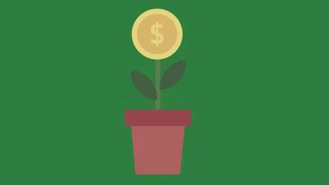 A green screen with white background and plant in pot on dollar coin it sign Video stock 335129893