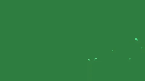 A green screen with white background and bird flying over it this is clock on Vidéo 335129927