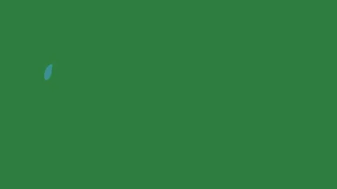 A green screen with white background and an image of bird blue umbrella on Видео 335129931