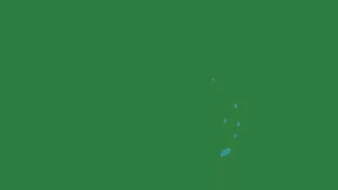A green screen with white background and this is banana blue bird on flying in Vidéo 335129934