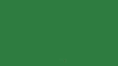 A green screen with white background and an image of person on it bunch Vidéo 335129949