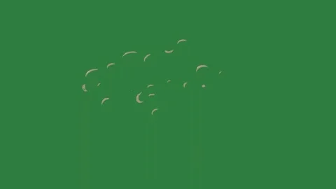 A green screen with white background and gray shapes bunch of flowers on some Video stock 335130276