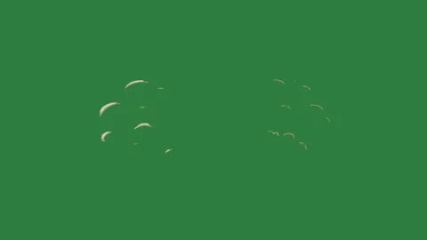 A green screen with white background and cat on it clock hole in the middle is Видео 335130282
