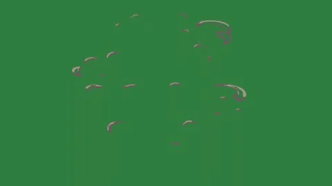 A green screen with white background and black snake on an image of clock it Video stock 335130292