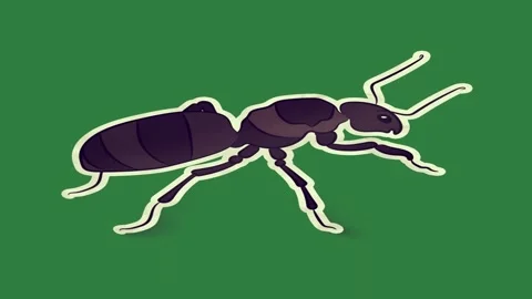 A green screen with white background and black dog ant cat laying on animated Video stock 335130341