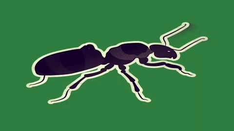 A green screen with white background and ant scissors on an surfboard animated Video stock 335130357