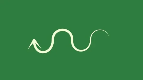 A green screen with white background and circle on it the letter s n m wave Vídeos de archivo 335130595