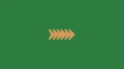 A green screen with white background and an orange arrow on it yellow arrows Video stock 335130686