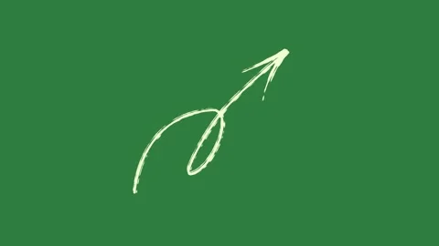 A green screen with white background and circle on arrow it animated chromakey Stock-Footage 335131909