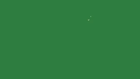 A green screen with white background and circle on arrow it cat outline Видео 335131912
