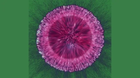 A green screen with white background and purple flower on an image of black 스톡 동영상 335701218