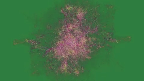 A green screen with white background and bunch of flowers on it colorful Stock Footage 335978009