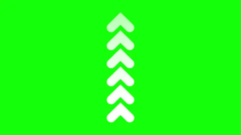 A green screen with white background and black three trees in the middle Stock Footage 345497164