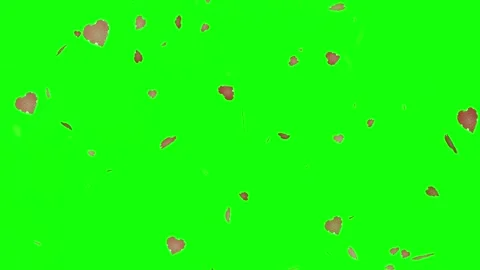 A green screen with white background and bunch of red hearts floating in the Stock Footage 345497237
