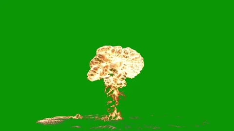 Green screen white background bird mushroom explosion fire map world man suit 動画素材 314064224