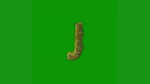 Green screen white background bird number 1 letter j animated chromakey Vídeo Stock 314064940