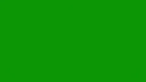 Green screen white background black flower border animated chromakey background Stock Footage 314064105