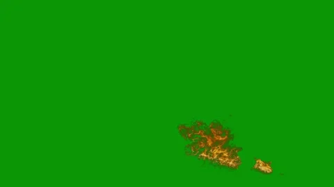 Green screen white background bug tree middle fire burns map new zealand japan Stock Footage 314064562