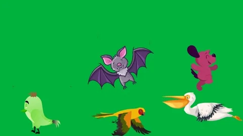 Green screen white background cartoon bat flying through air dog bird. Stock Footage 310562909