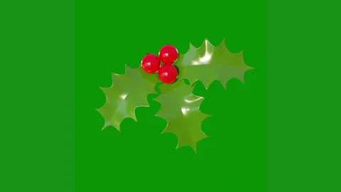 Green screen white background christmas tree holly red berries bunch bird Video stock 314064982