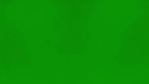Green screen white background close up rainbow colored red abstract multi flower Stock Footage 314064281