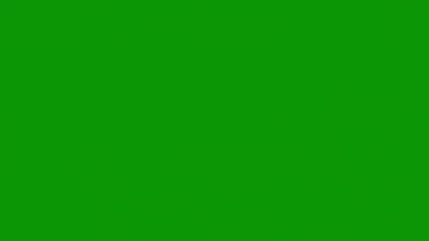 Green screen white background close up flower purple red large black border Stock Footage 314064287