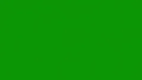 Green screen white background colorful flower is shown this explosion smoke Stock Footage 314064288