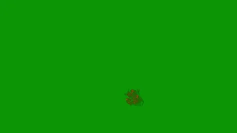 Green screen white background fire small insect ' s back is burning animated Stock Footage 314064407