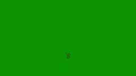 Green screen white background fire middle person animated chromakey background Stock Footage 314064408