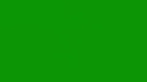 Green screen white background firework fireworks animated chromakey background Video stock 314064036
