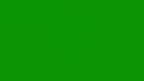 Green screen white background firework bunch fireworks flowers animated Stock Footage 314064055