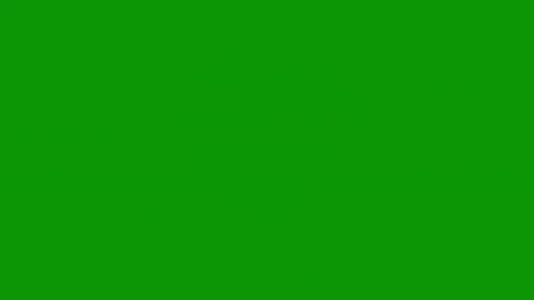Green screen white background fireworks middle red yellow flower colorful Stock Footage 314064032