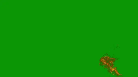 Green screen white background horse running gold dragon fire burns animated Stock Footage 314064569