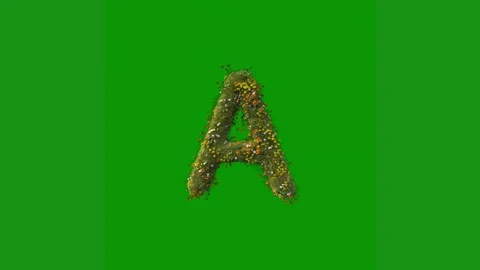 Green screen white background letter made out leaves middle animated chromakey Stock Footage 314064778