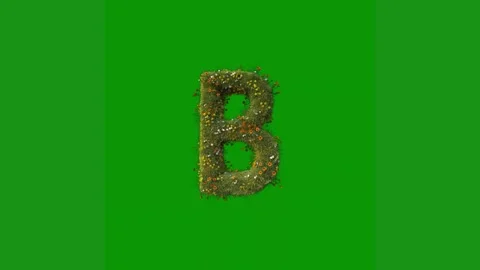 Green screen white background letter d b number 8 is made up leaves flowers Stock Footage 314064783