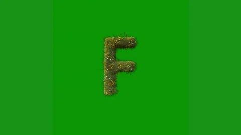 Green screen white background letter t f animated chromakey background elements Stock Footage 314064878