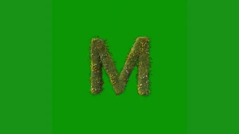 Green screen white background letter m animated chromakey background gesture Stock Footage 314064954