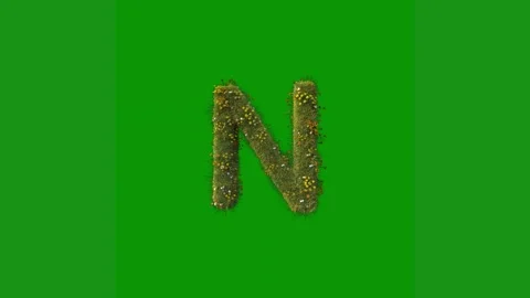 Green screen white background letter n animated chromakey background frame Stock Footage 314064959