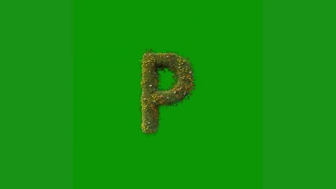 Green screen white background letter p animated chromakey background emotion Vídeo Stock 314064965