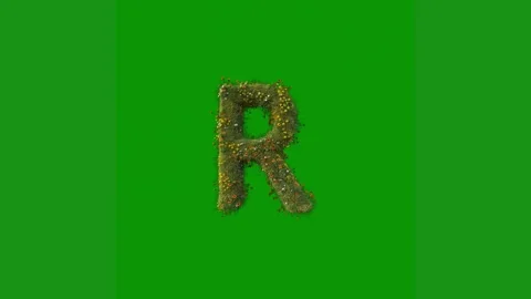 Green screen white background letter k r animated chromakey background Stock Footage 314064976