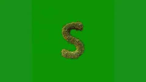 Green screen white background letter c number 3 s animated chromakey background Stock Footage 314064980
