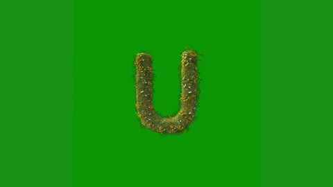 Green screen white background letter u animated chromakey background Stock Footage 314065063