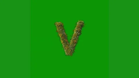 Green screen white background letter w v animated chromakey background movement Stock Footage 314065064