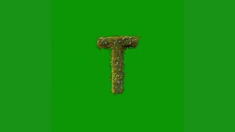Green screen white background saxophone letter t animated chromakey background Stock Footage 314065044