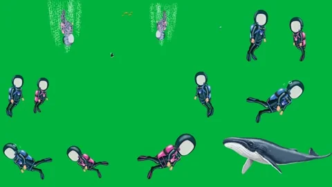 Green screen white background small bird its back cartoon character blue. Stock Footage 310562781